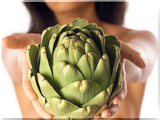 artichoke-for-weight loss