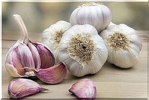 Garlic