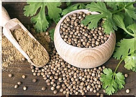 A jar of coriander seeds