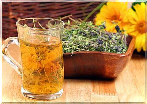 4 infusions that can cleanse your body naturally