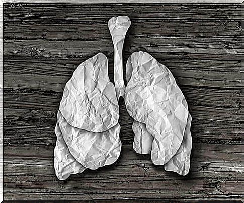 Lungs