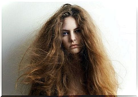 5 natural ingredients to treat dry hair