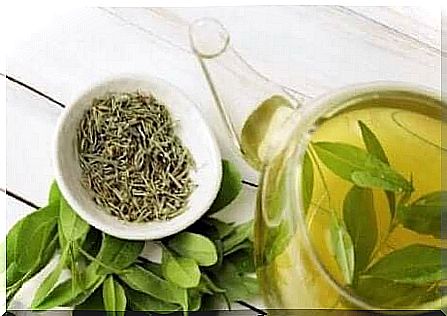 Green tea is known for its medicinal properties