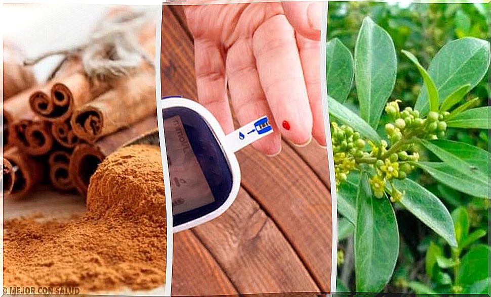 5 wonderful medicinal plants to regulate diabetes