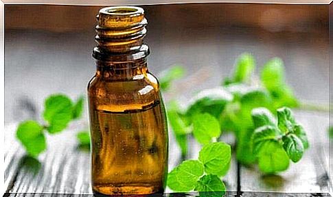 Mint oil can help you lose weight