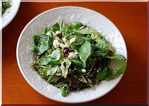 Spring salad with cottage cheese