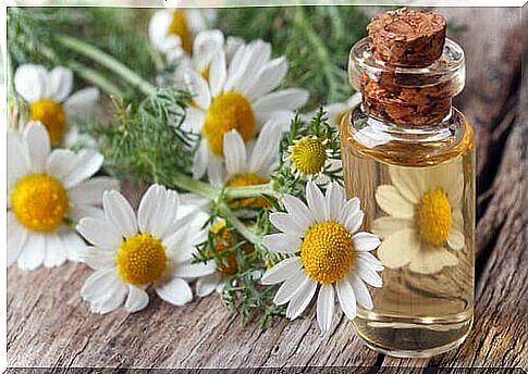 Chamomile oil with medicinal properties