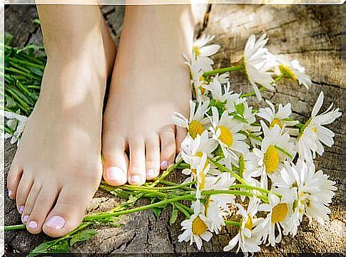 Chamomile flowers and feet