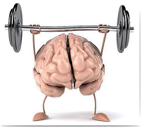 Brain that lifts weights.