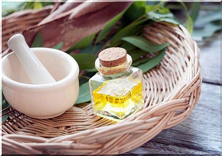 Eucalyptus oil