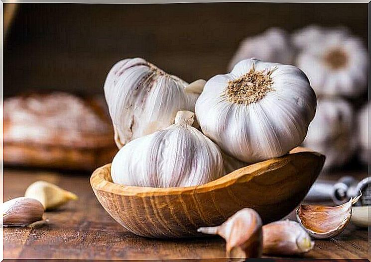 Garlic