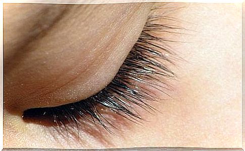 Home care for beautiful eyelashes