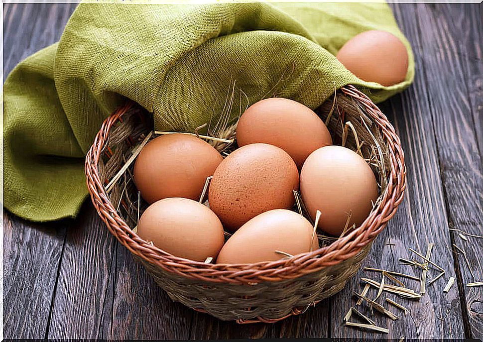 Egg basket