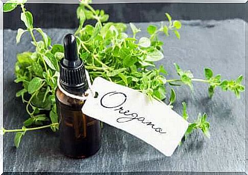 How do you prepare homemade oregano oil and what are the benefits?