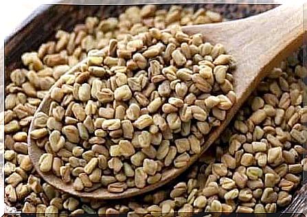 Infusion of fenugreek seeds to treat ulcerative colitis