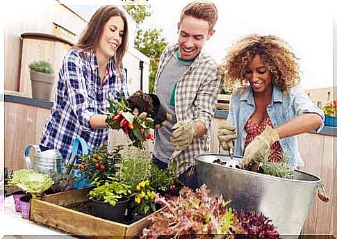 Friends working in the garden.