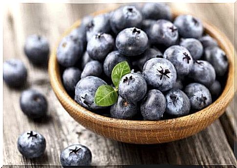 Learn how to grow blueberries at home