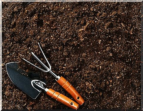 Soil and garden tools