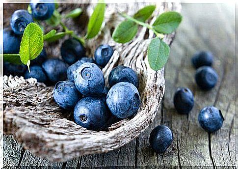 Learn how to grow blueberries at home