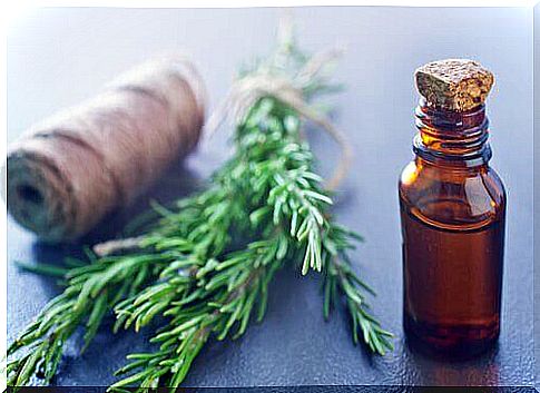 Rosemary promotes good circulation 