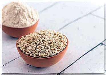 Buns with sorghum