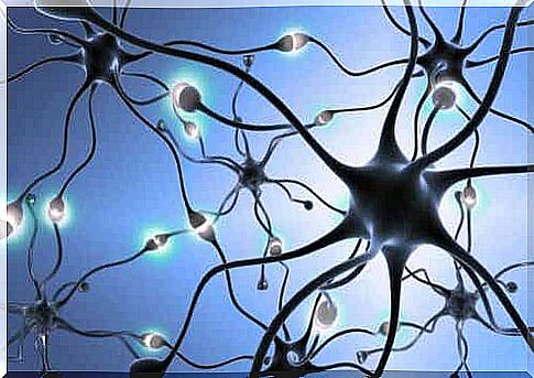 A circle of neurons.