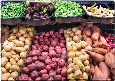 The difference between tubers, root crops and bulbs