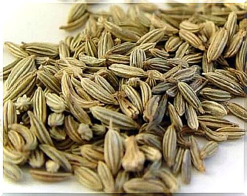 Fennel seeds.