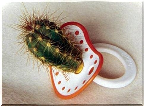 cactus pacifier