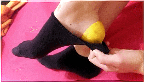 lemon sock