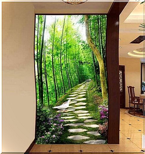 decorate the hallway with the wallpaper