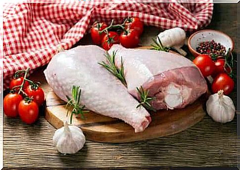 What are the differences between turkey and chicken?