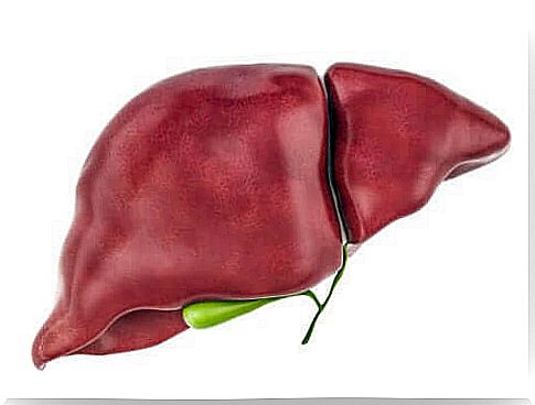 The liver, a key organ for removing toxins from the body