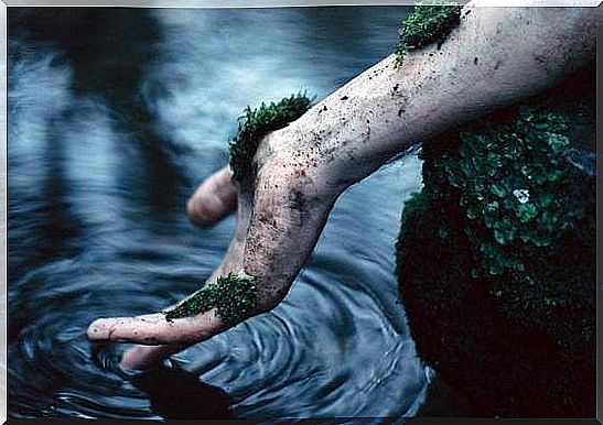 Hand with bog