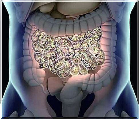 An illustration of the microbiota in the intestines